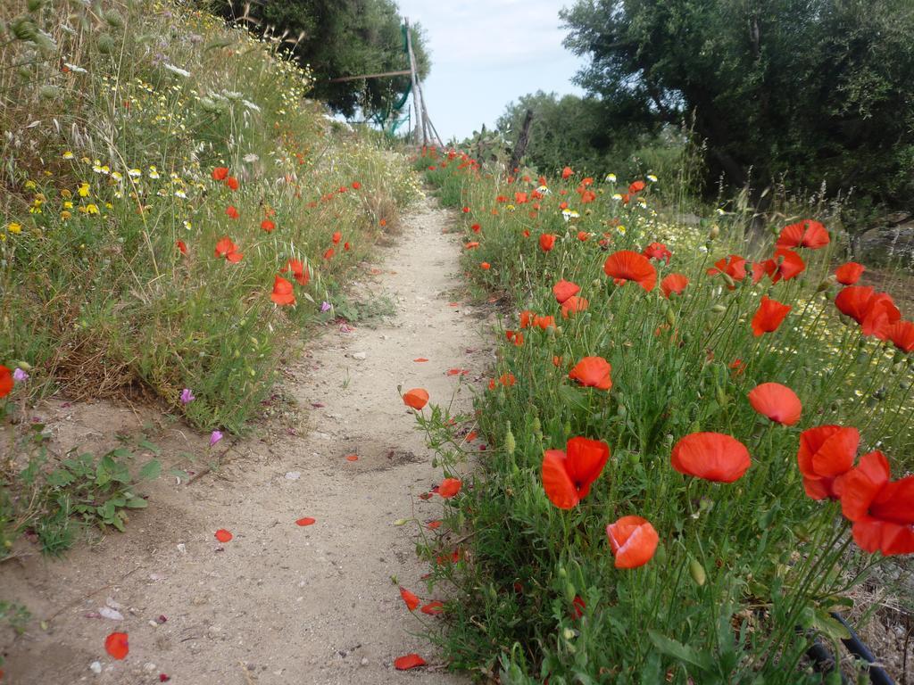 Rocca Del Vento Bed and Breakfast San Pantaleone Buitenkant foto