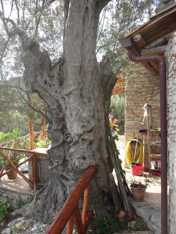 Rocca Del Vento Bed and Breakfast San Pantaleone Buitenkant foto