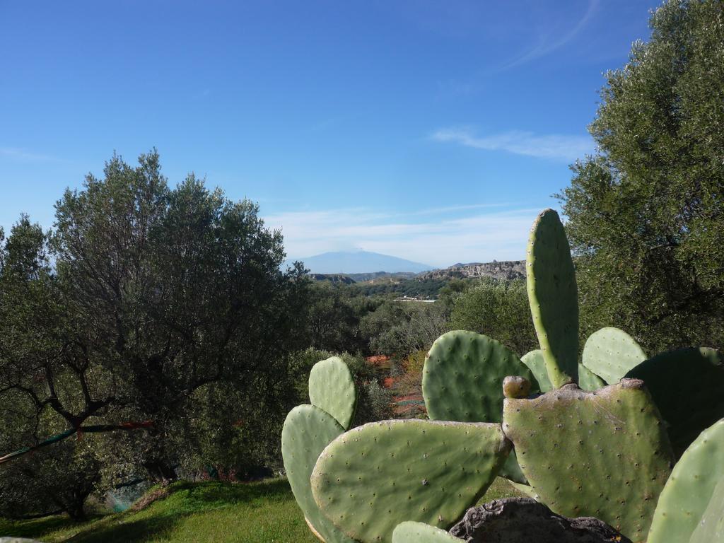 Rocca Del Vento Bed and Breakfast San Pantaleone Buitenkant foto