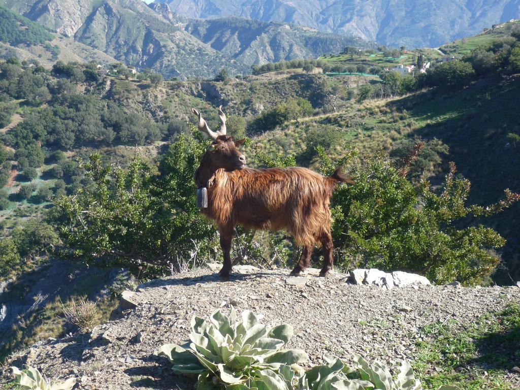 Rocca Del Vento Bed and Breakfast San Pantaleone Buitenkant foto